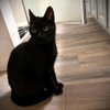 Hattie - Photo 1