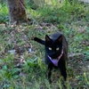 Hattie - Photo 2