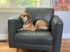 Bones - Photo 1