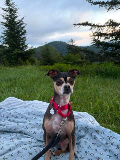 Winnie