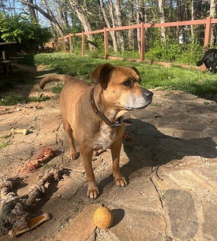 Gretchen photo 3