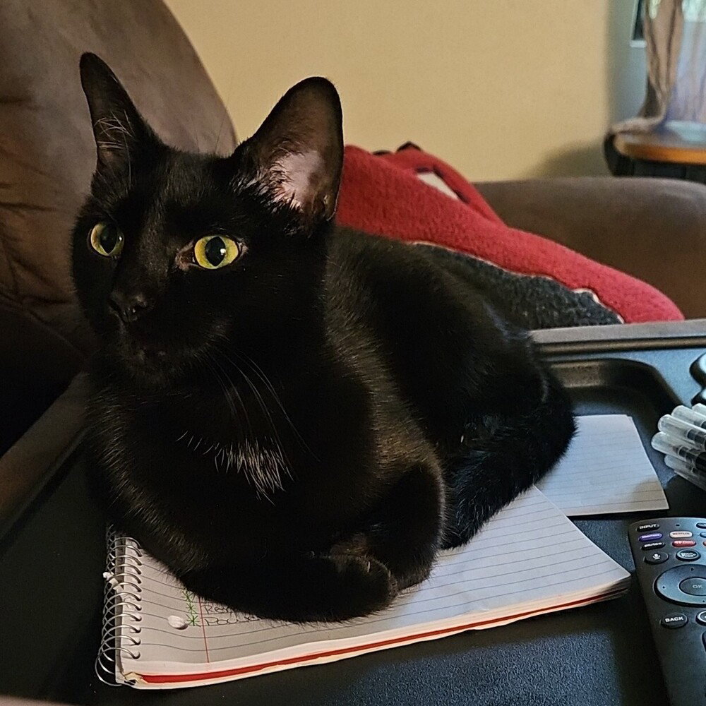 Jade Image