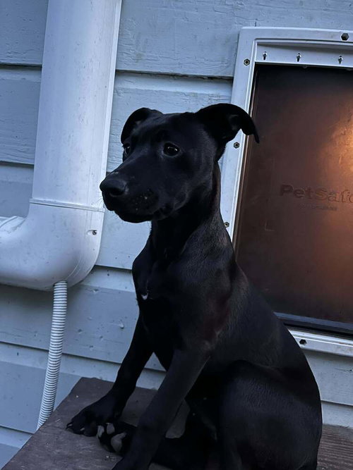 Remy photo 2