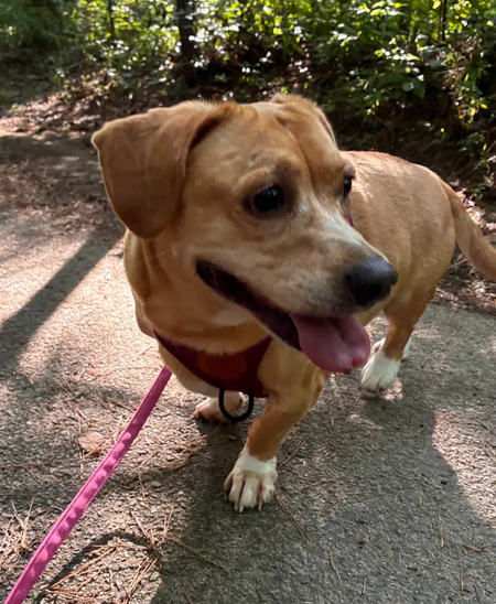 Maggie, photo 4