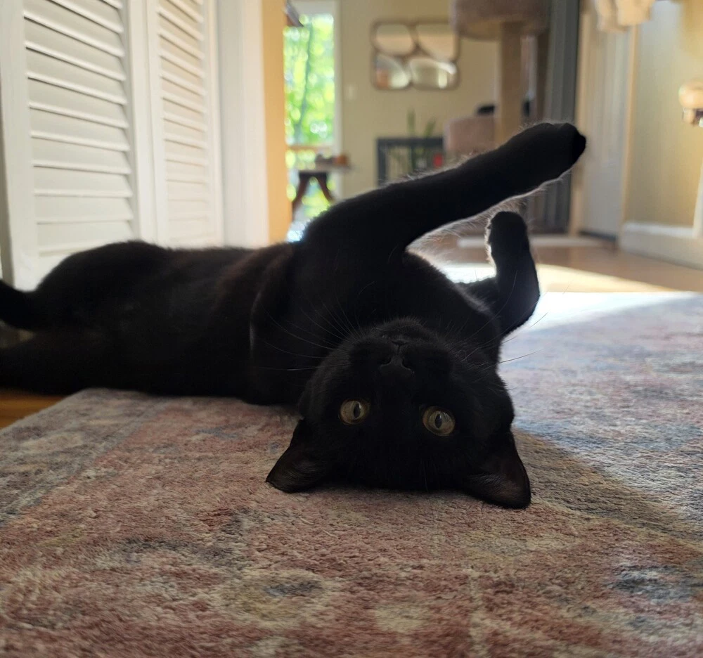 Luna