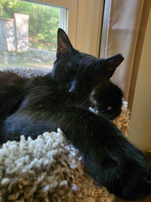 Photo 3 of Luna