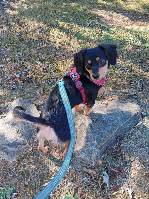 Winnie