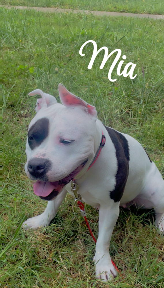Mia
