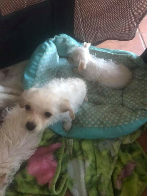 Teddy W