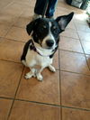 Heidi