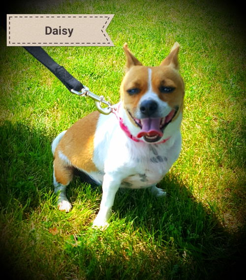 Daisy C.