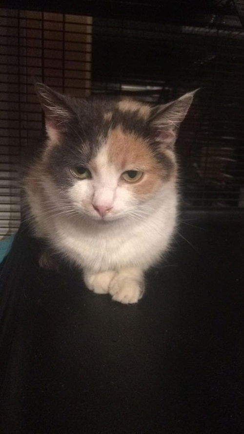 Gertrude