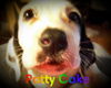 Daisy Mae's Puppies: Patty Cake