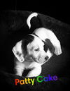 Daisy Mae's Puppies: Patty Cake