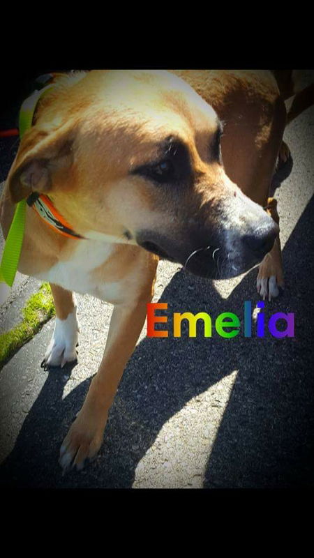 Emelia