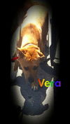 Vera