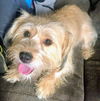 Stella S