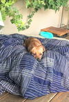Millie C