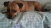 Millie C