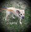 Larry