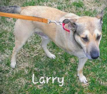 Larry