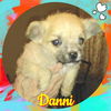 Dannie