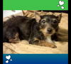 Oliver T