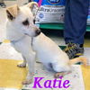 Katie & Sadie (Bonded Pair)