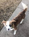 Charlie