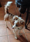 Charlie