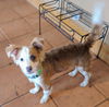 Charlie