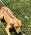 Billy