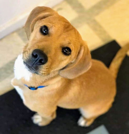 Billy