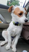 Oliver