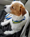 Oliver
