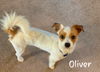 Oliver