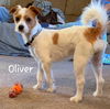 Oliver