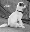 Oliver