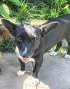 Tourmalina “Lainey”