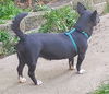Tourmalina “Lainey”