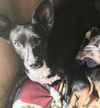 Tourmalina “Lainey”
