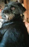Kobie