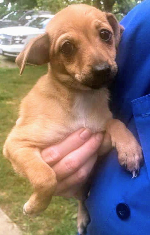 Chi Mix (Baby)