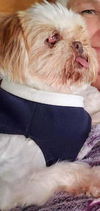 Dotty