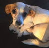 Thelma