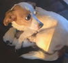 Thelma