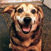 Charlie B