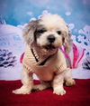 Romeo