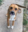 Lucy