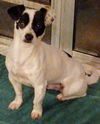 Buster